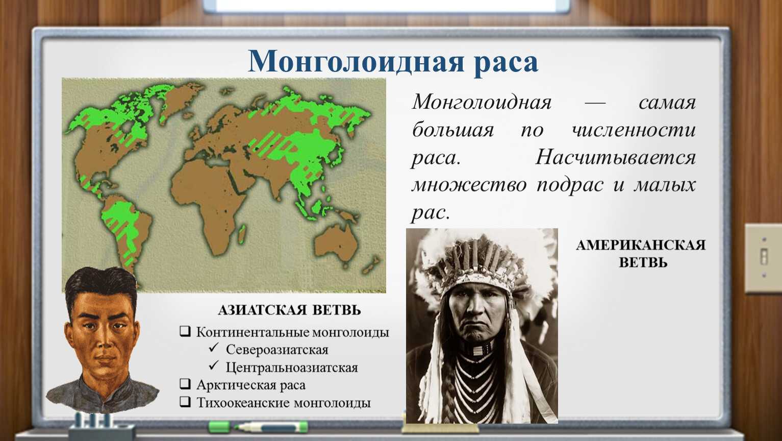 Монголоидная раса | расы