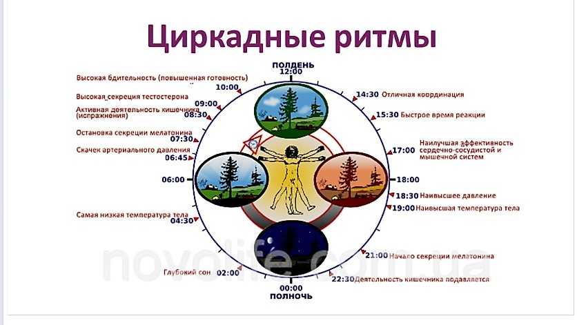 Как убрать режим ограниченной функциональности word