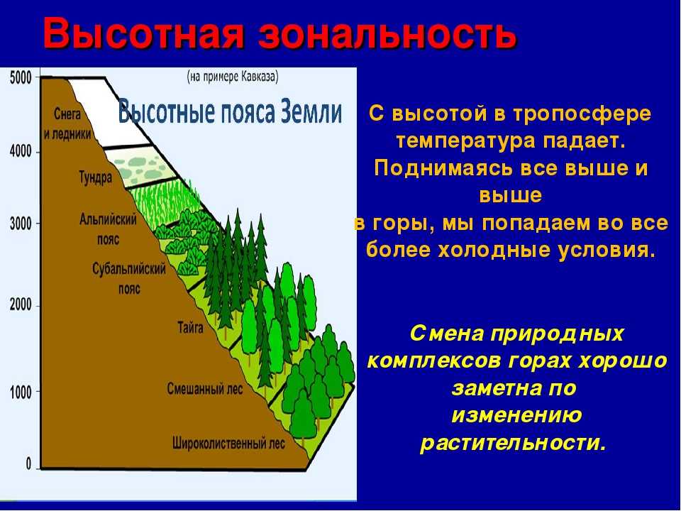 Что такое широтная зональность и как она проявляется на карте: примеры и объяснение