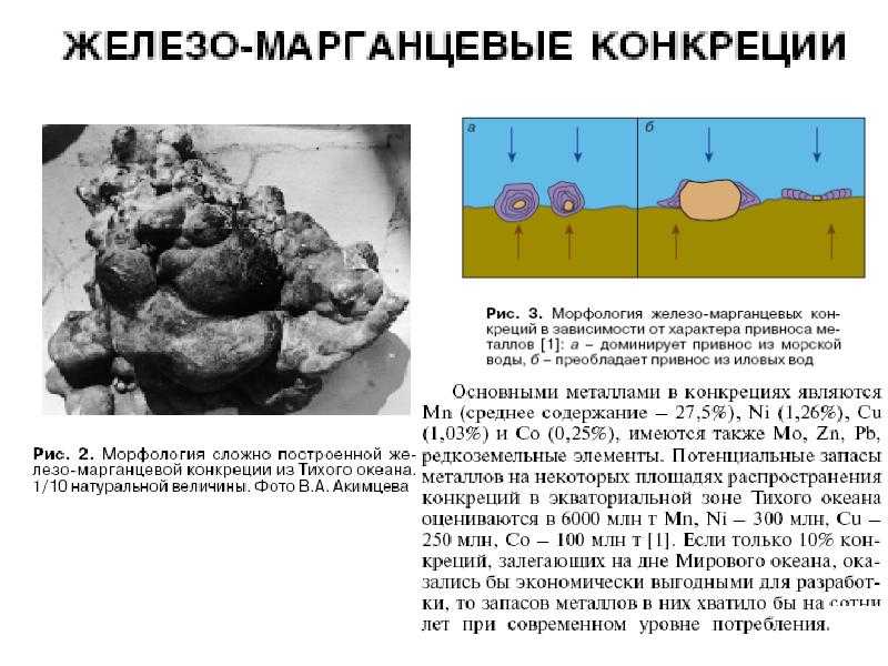 Гидротермальная гипотеза: что это такое, предпосылки и критика