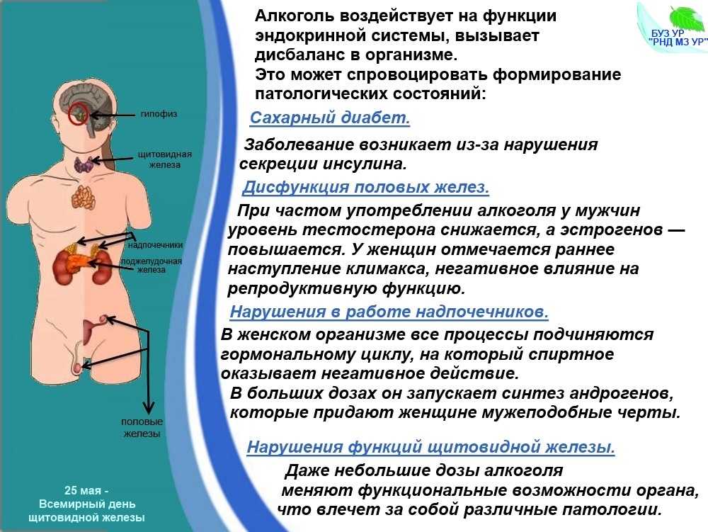 Мускатный орех: состав, калорийность, польза, рецепты