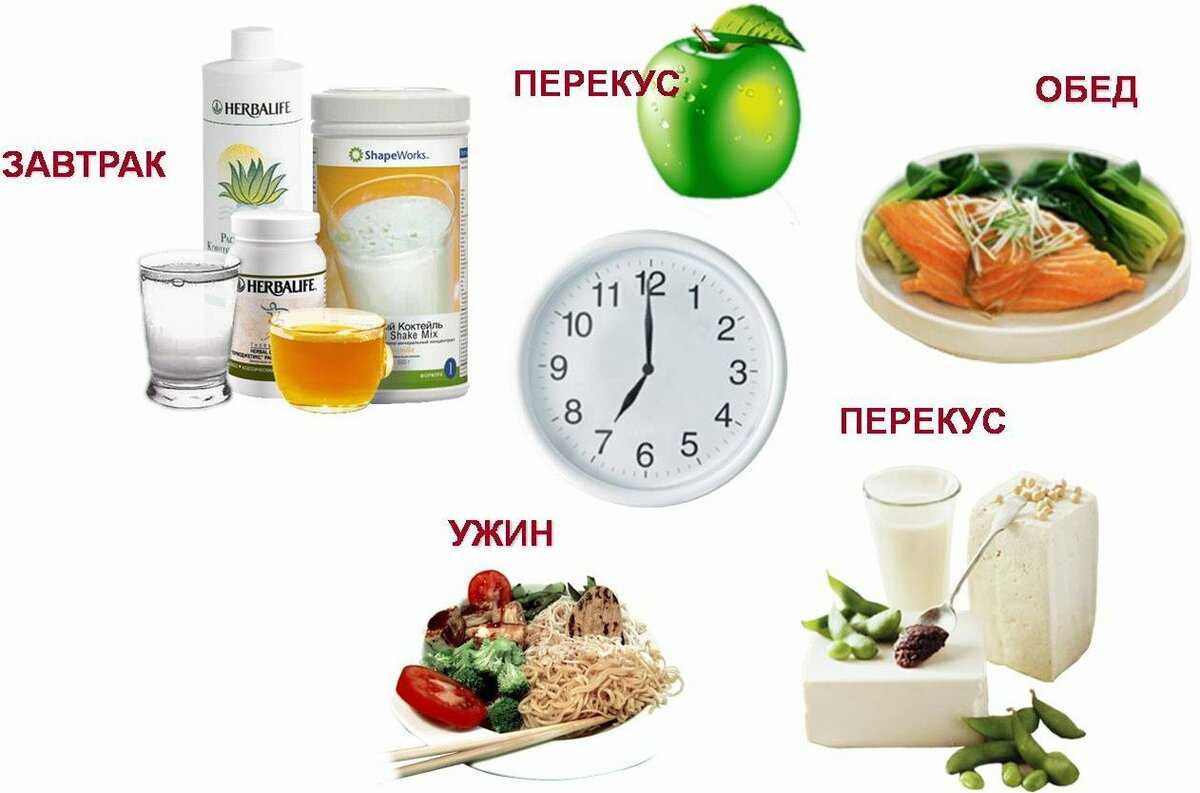 Правильный режим питания: сколько раз в день нужно есть?