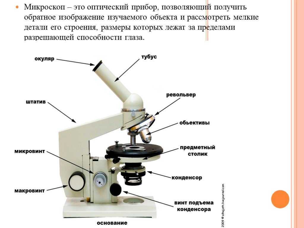 Как выбрать микроскоп для ребенка-школьника и рейтинг лучших моделей от ichip.ru  | ichip.ru