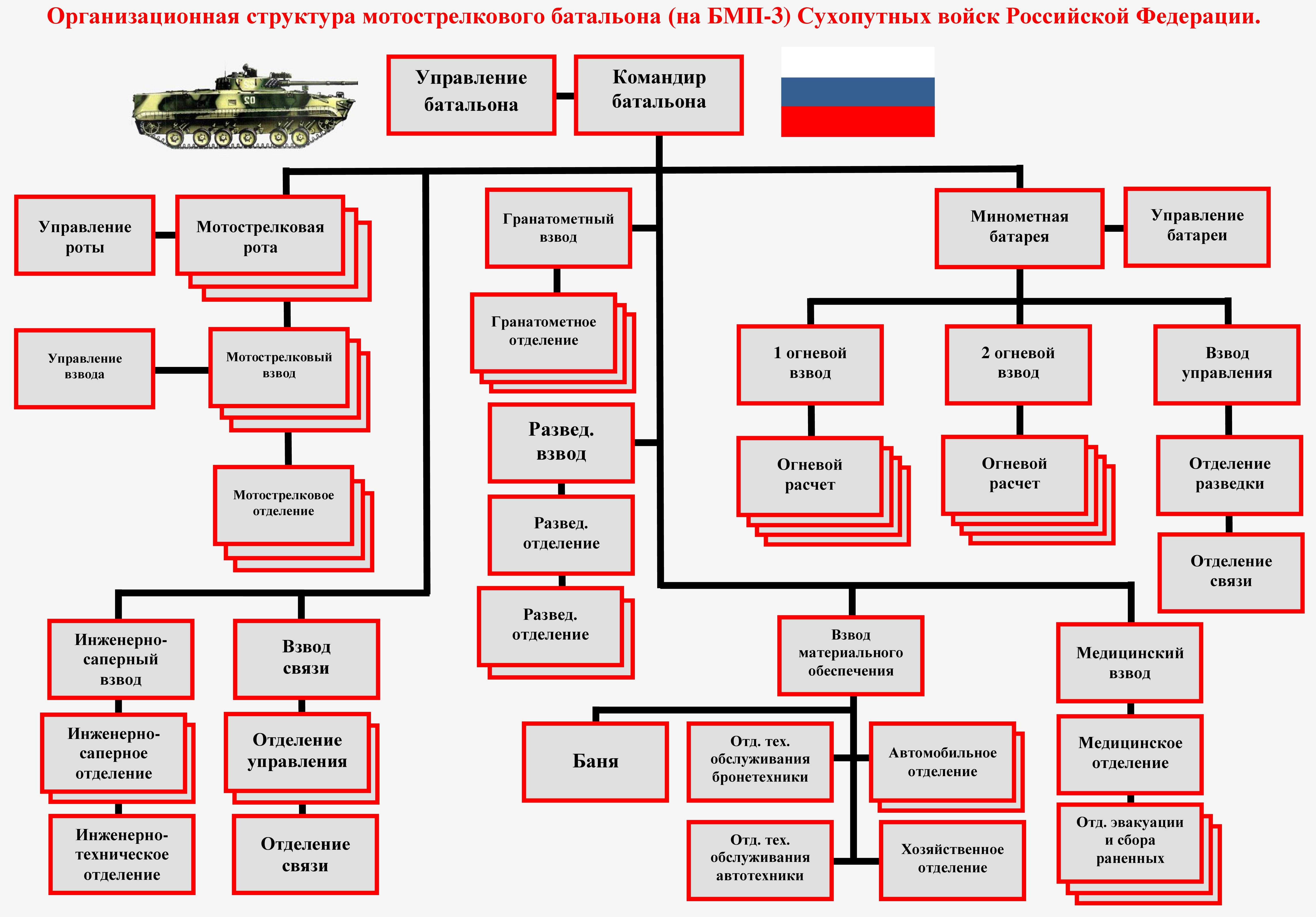 Тб  вс  рф