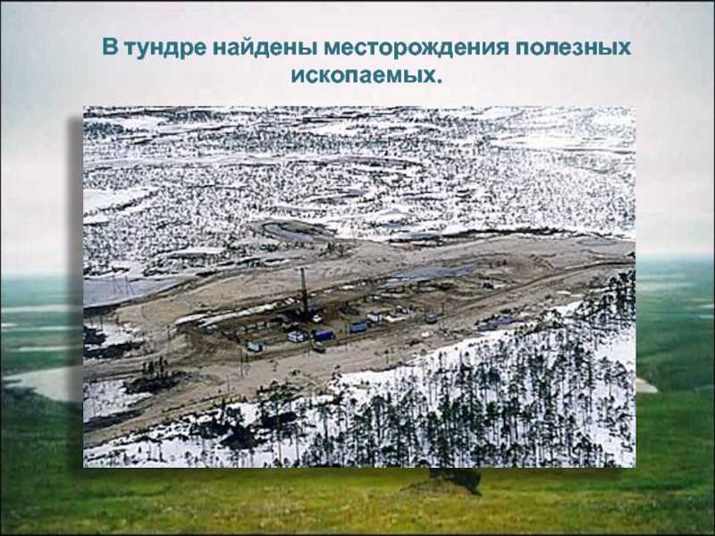 Тундра
