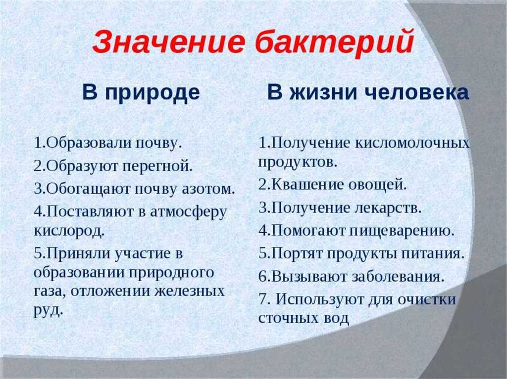 Значение слова житуха: что это такое?