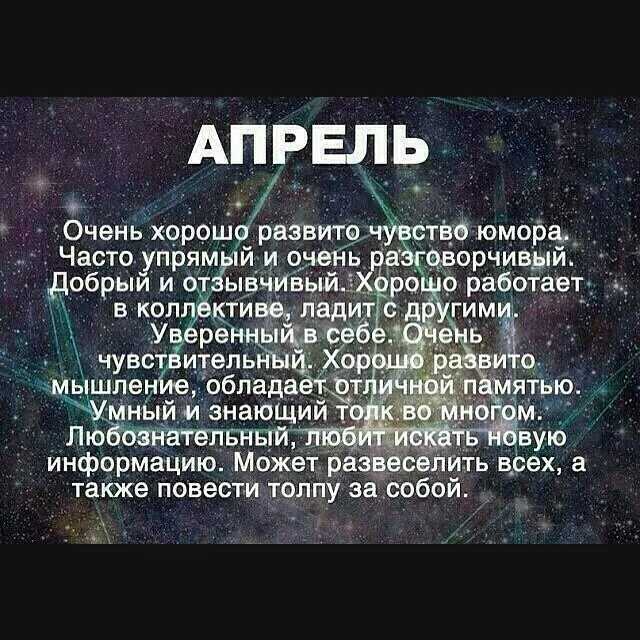 Барбоскины