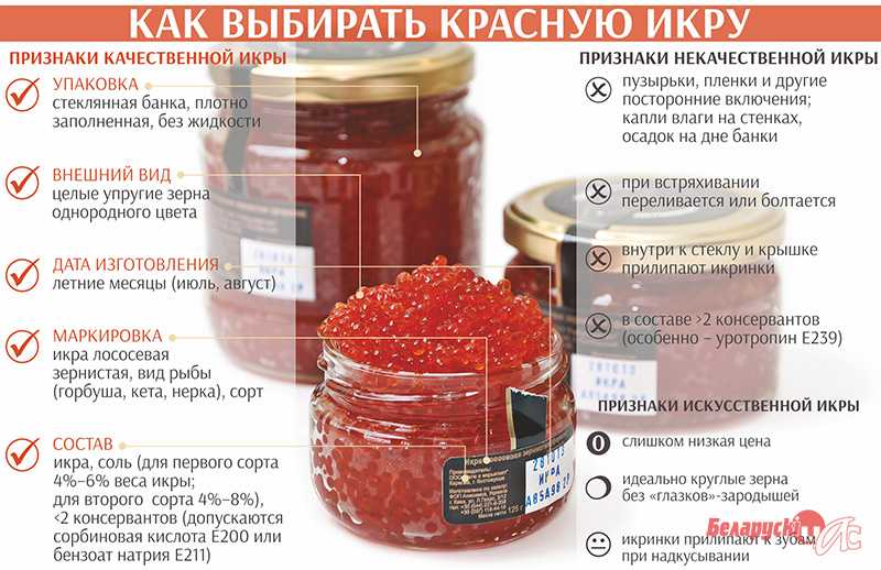Икра кеты или кижуча — какая икра лучше?