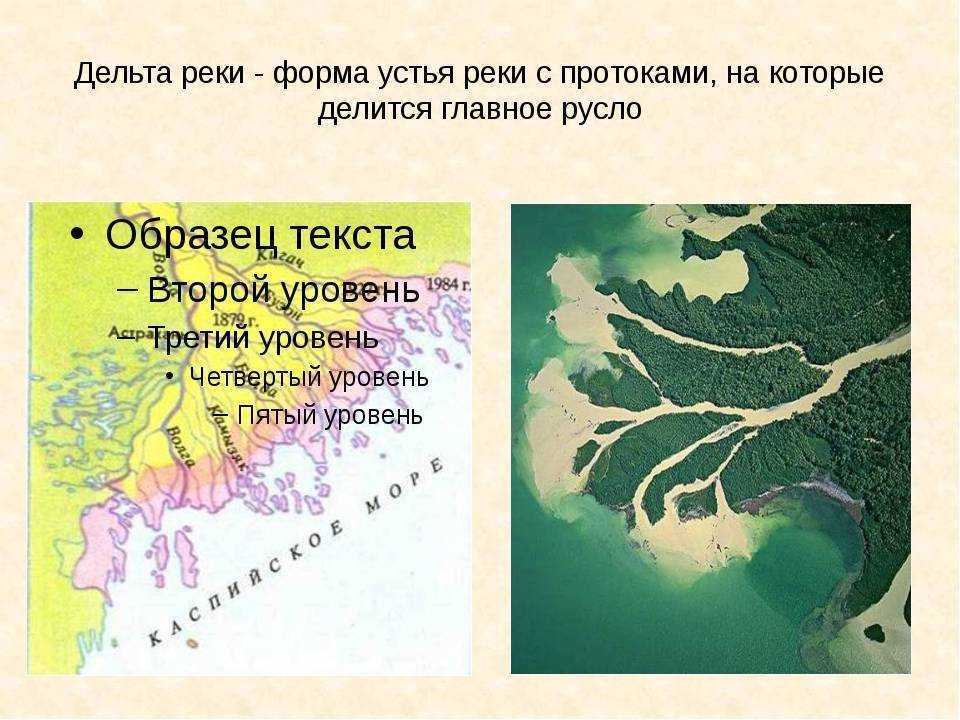 Дельта реки: что это значит и как она формируется