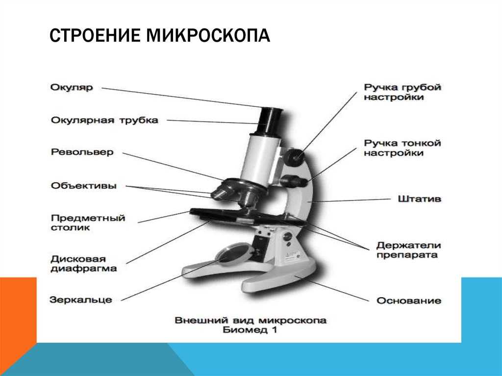 Калькулятор увеличения цифрового микроскопа • микроскопия • онлайн-конвертеры единиц измерения