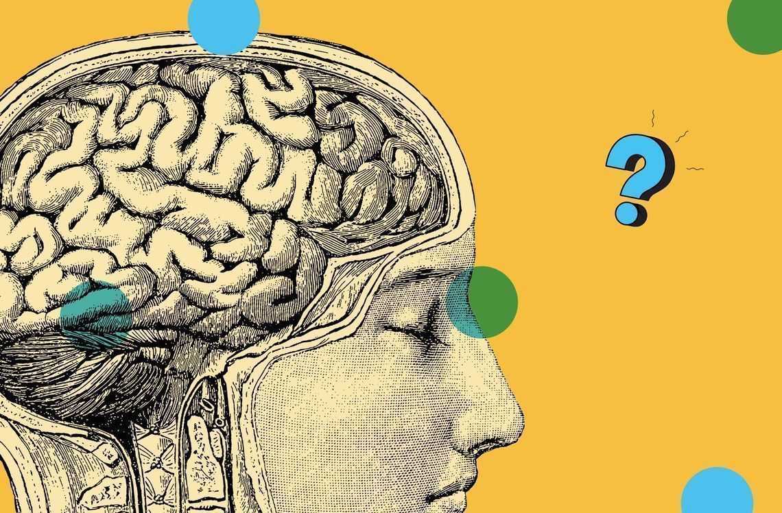Нейрочип neuralink: действительно ли мы будем вживлять гаджеты в мозг | рбк тренды