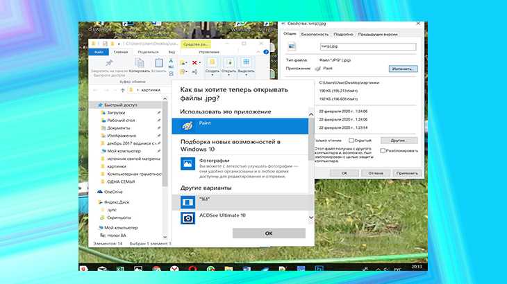 Учебное пособие по paint. все возможности paint для создания и редактирования изображений paint заменить один цвет другой