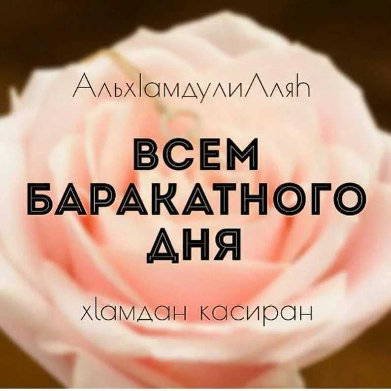Священный коран видео