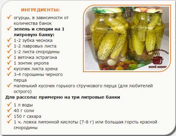 Хрустящие маринованные огурцы - 6 очень вкусных рецептов на зиму