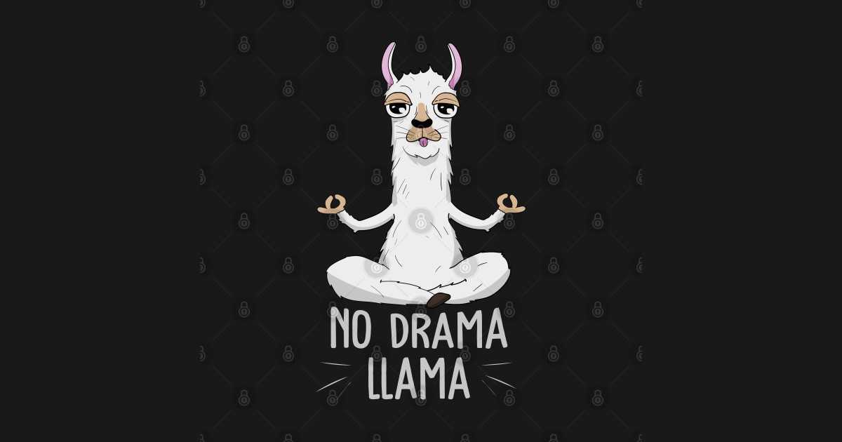 What does drama llama mean? – meltingpointathens.com