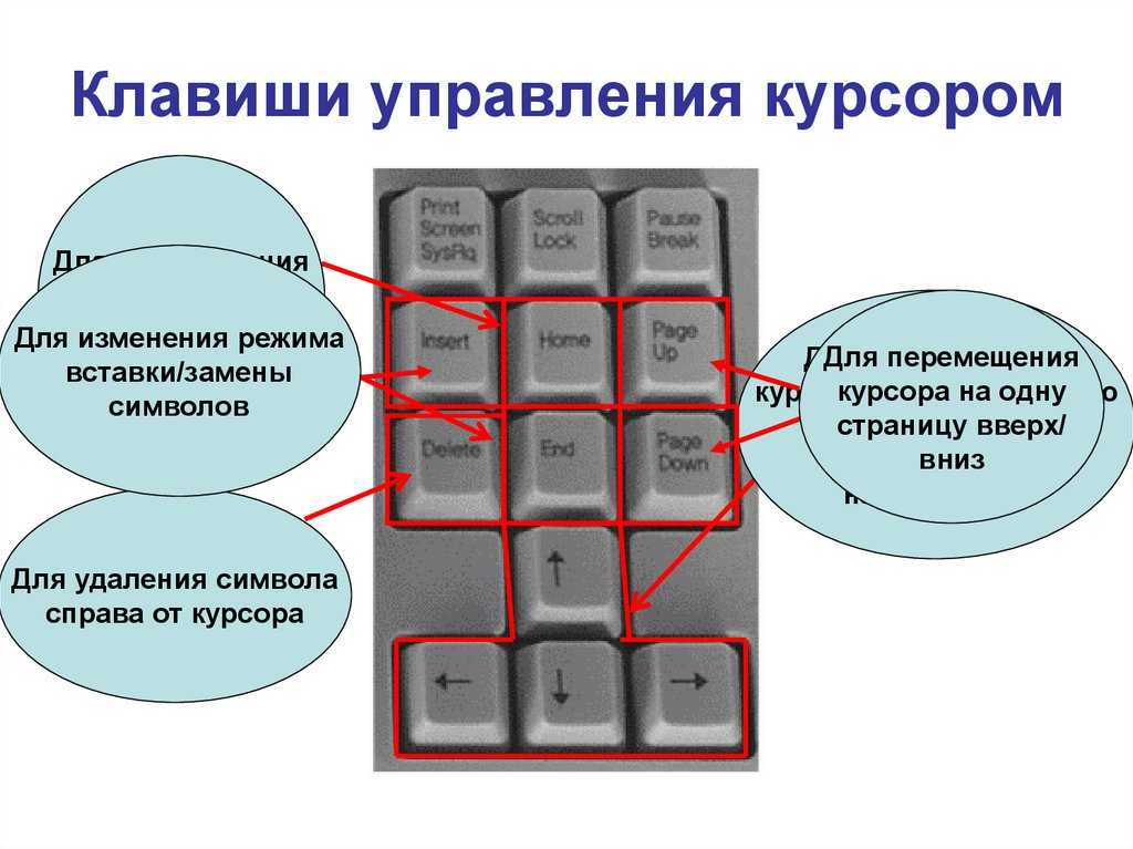 Горячие клавиши mac os x для работы с текстом