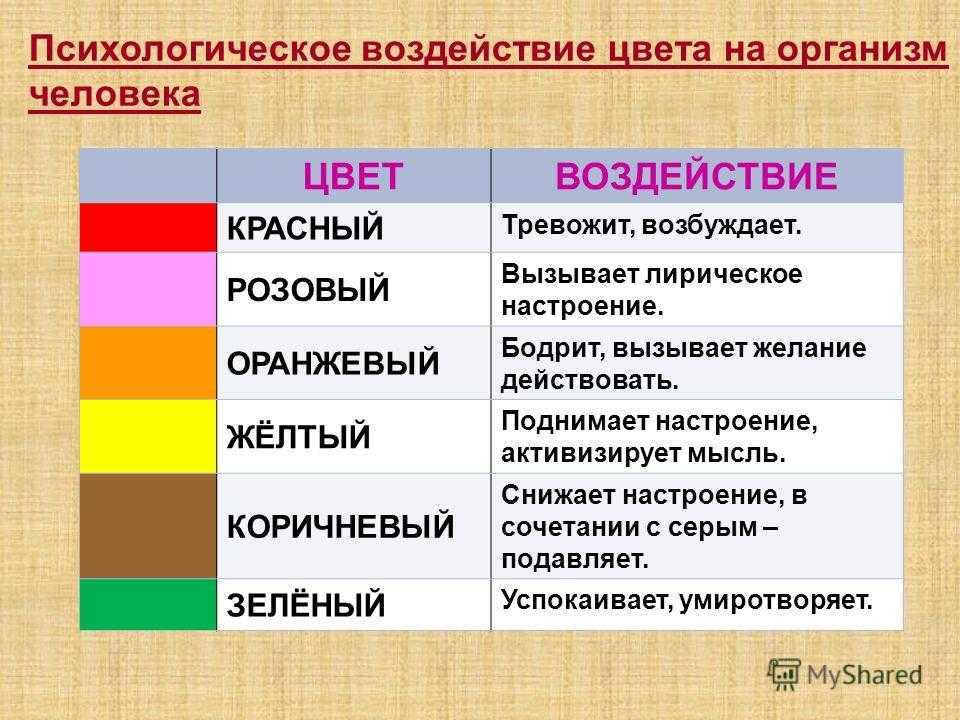 Язык цветов розы — что они символизируют