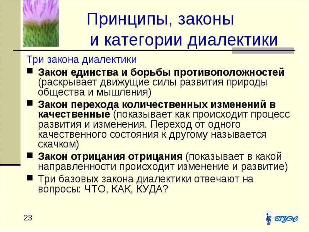 Основные принципы и законы диалектики.