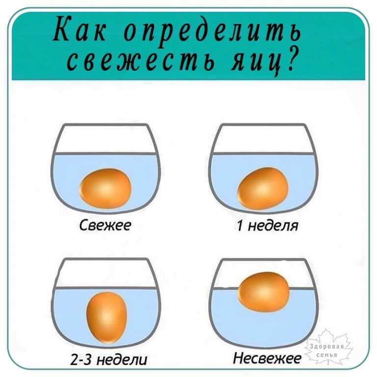 Перепелиные яйца, польза и вред для женщин, мужчин, детей, состав, калорийность, противопоказания