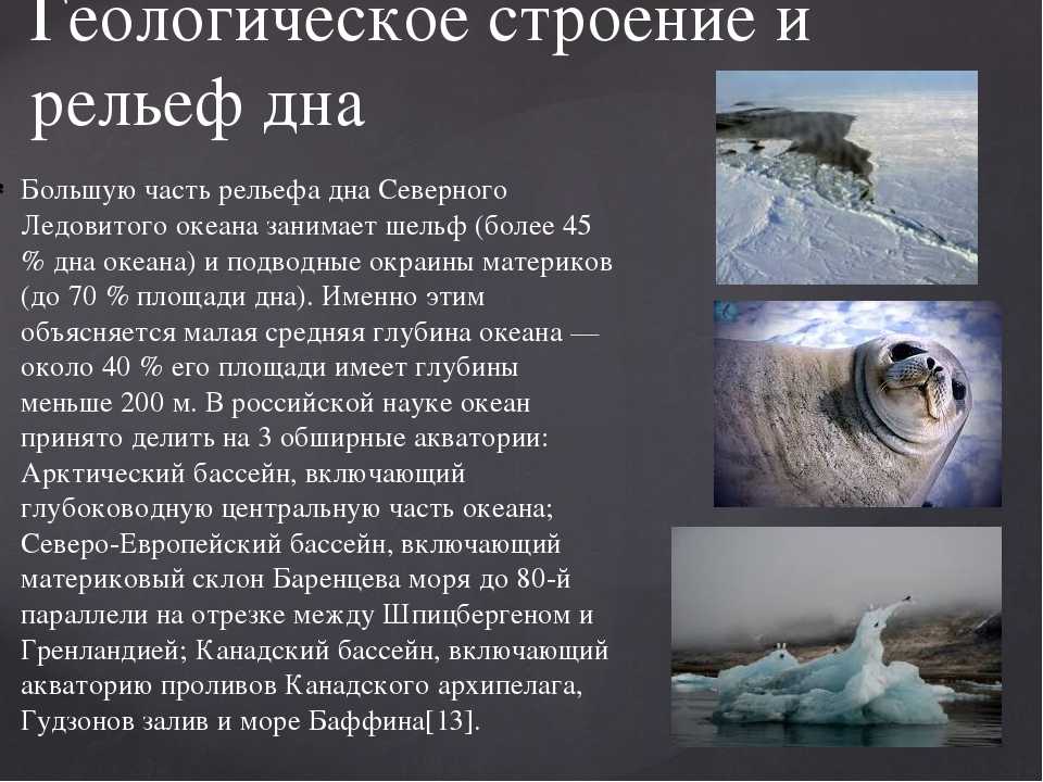 Северный ледовитый океан. территория воды - всё о воде на планете