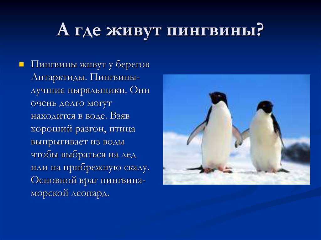 Как зовут помощника короля джулиана? - онлайн справочник по настройке гаджетов