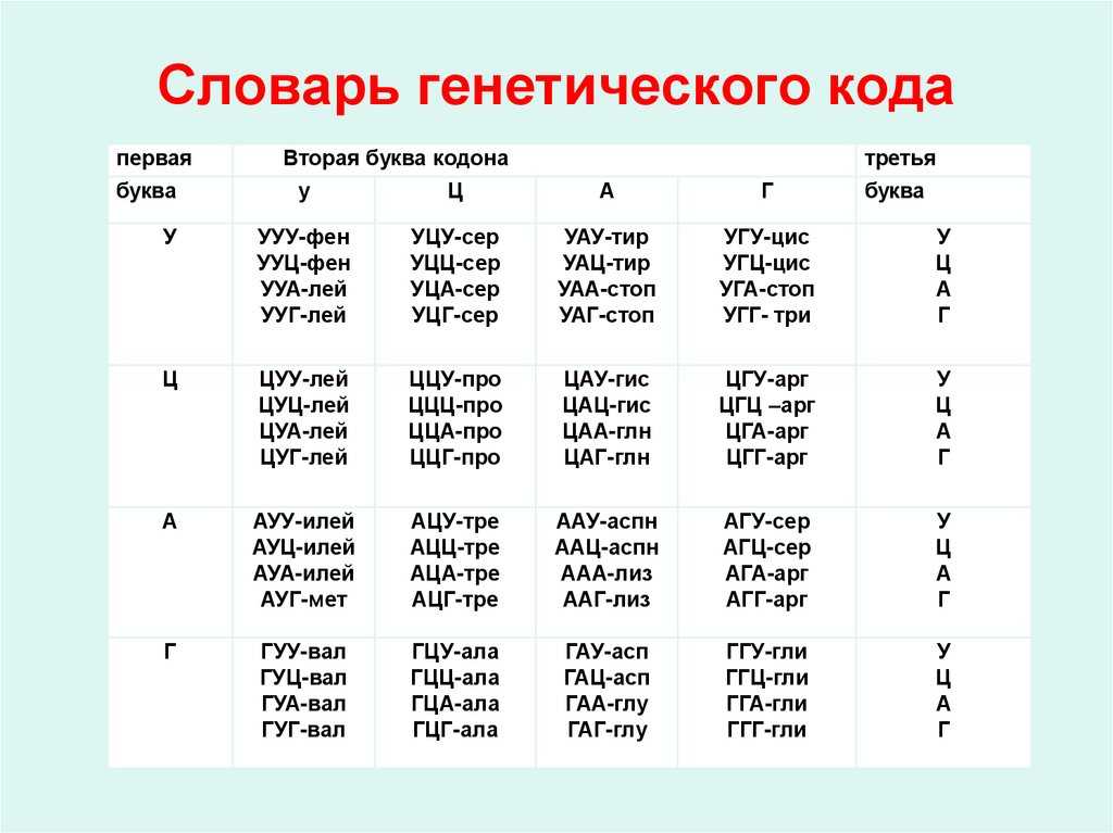 Научная библиотека - рефераты -  основные типы взаимодействий генов