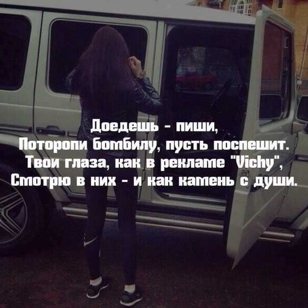 Собака лает караван идет - что значит (подробное объяснение)