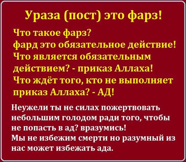Законы шариата и нормы исламского права – основа жизни правоверных мусульман