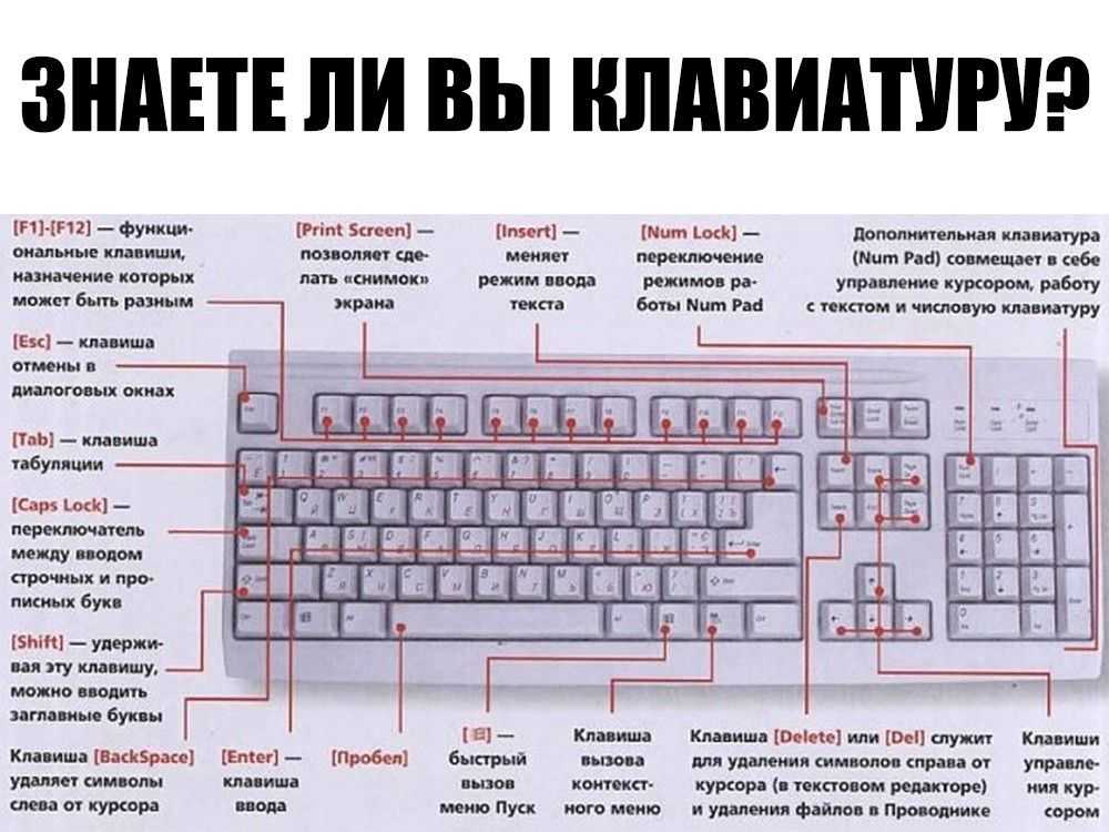 Как разблокировать клавиатуру на ноутбуке asus windows