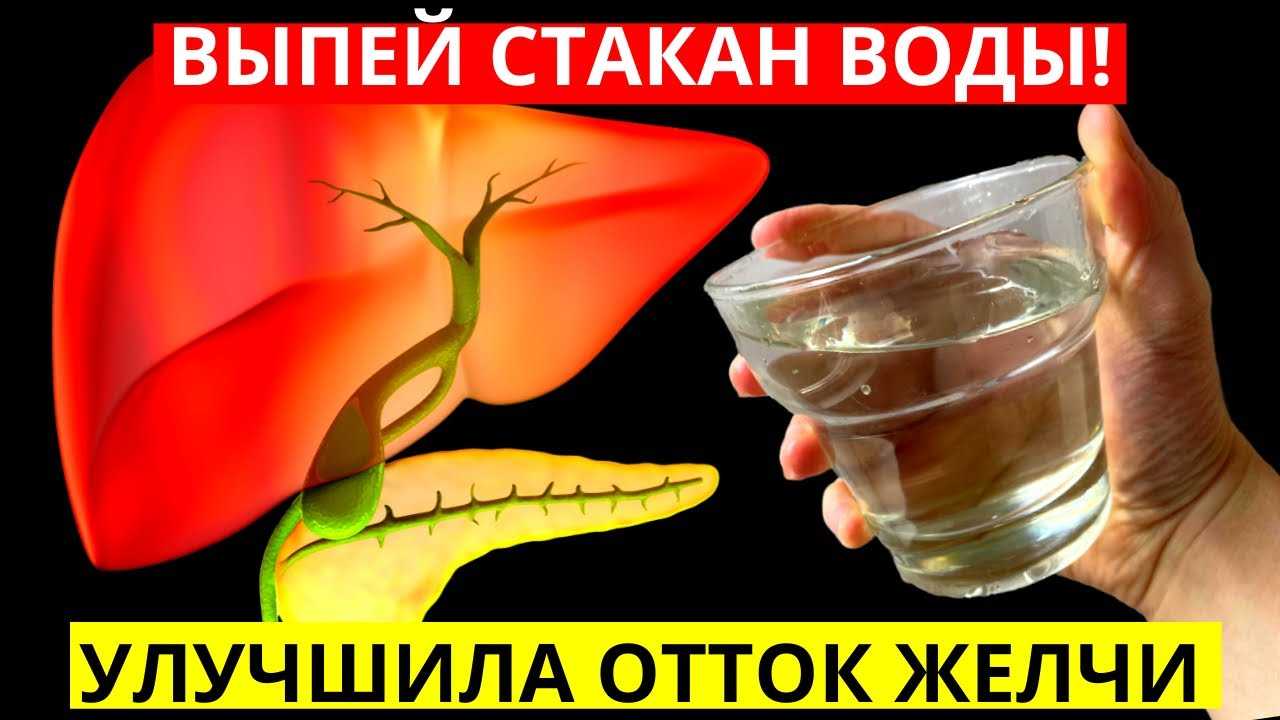 Желчь – важная роль в пищеварении, как выглядит, какую функцию выполняют желчные кислоты