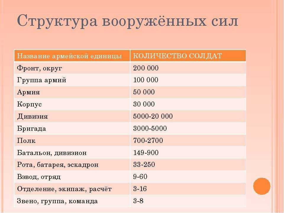 Структура и численность военных подразделений: что такое полк, рота, батальон и прочее | обу «цсзн по елецкому району» — областное бюджетное учреждение «центр социальной защиты населения по елецкому району»