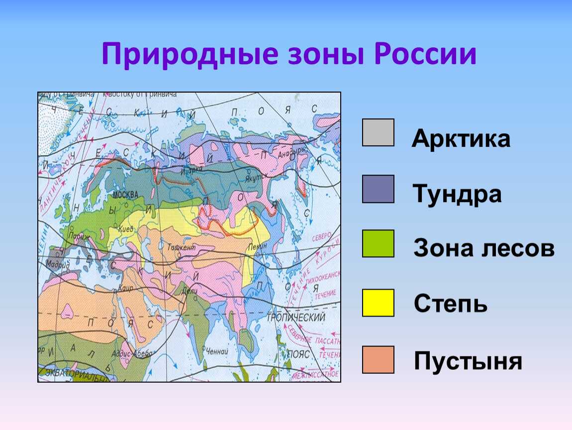 Хозяйственная деятельность человека в природных зонах