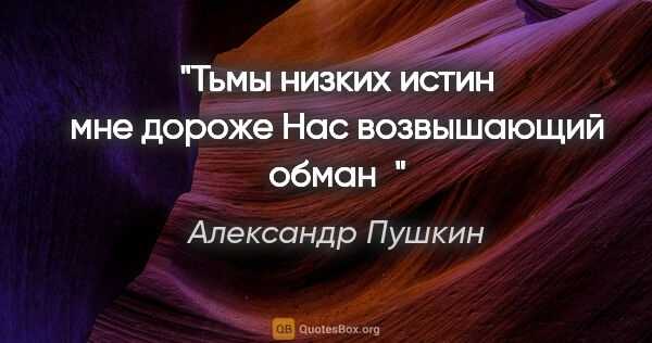 Значение слова взъерошить: что это такое?