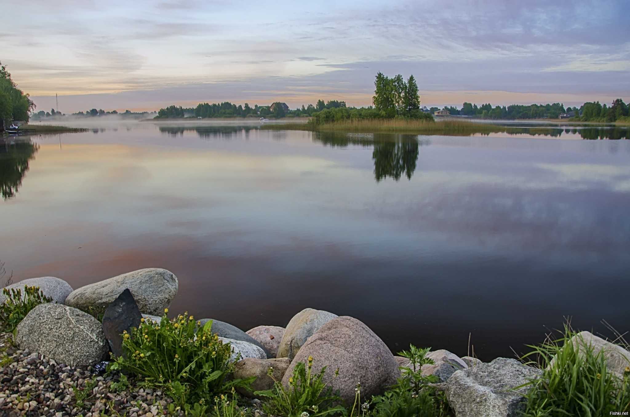 Заколдованный лес | публикации | вокруг света