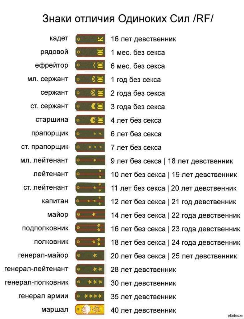 Почему гвардии майор не майор гвардии - naychimvseh.ru