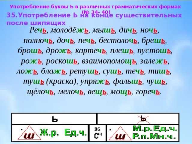Род имён существительных