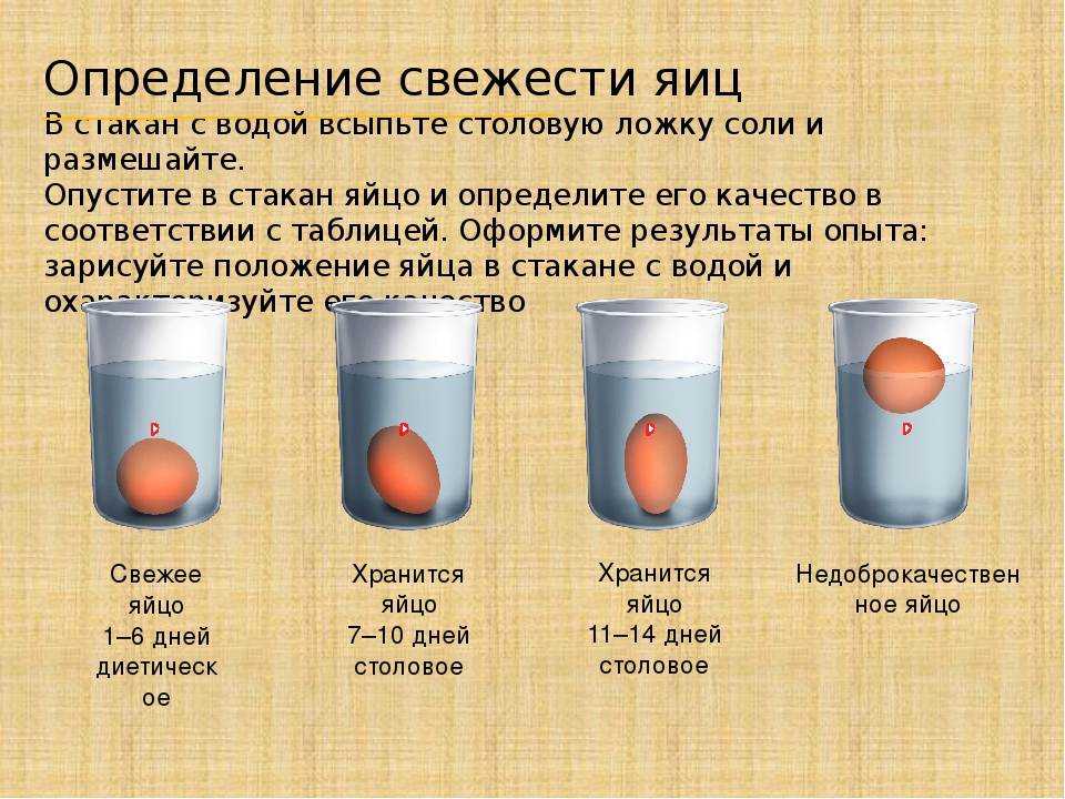 Почему яйца всплыли в холодной воде: причины