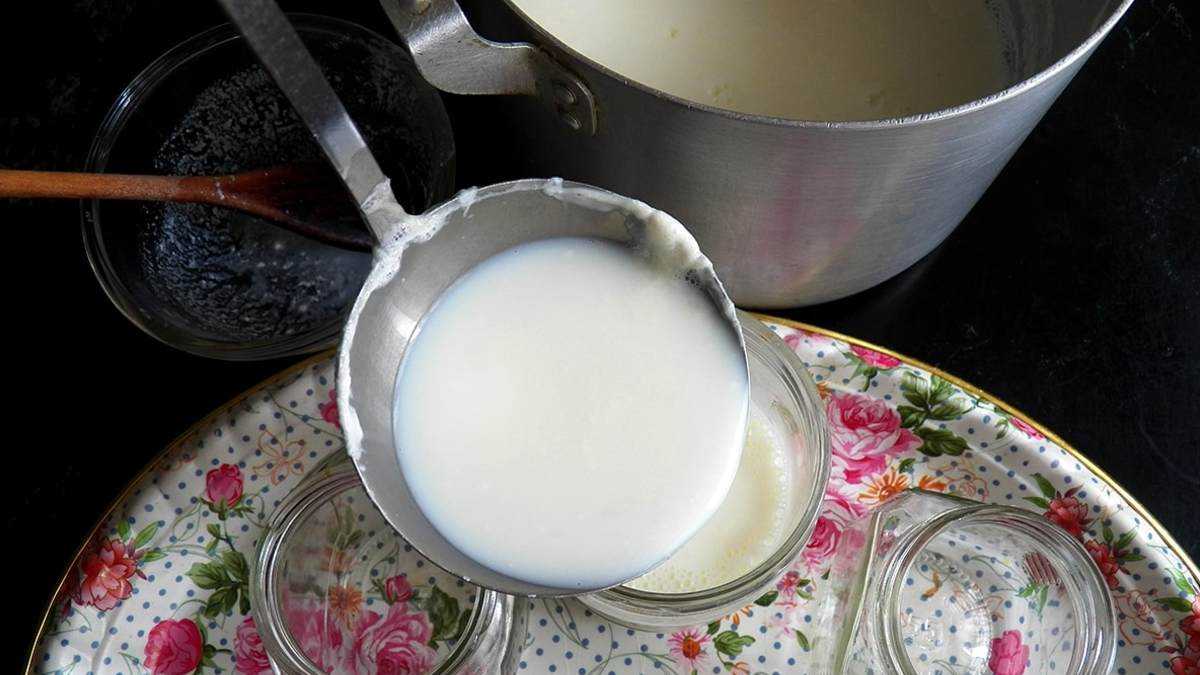 Польза и вред мацони, приготовление, рецепты с мацуном
