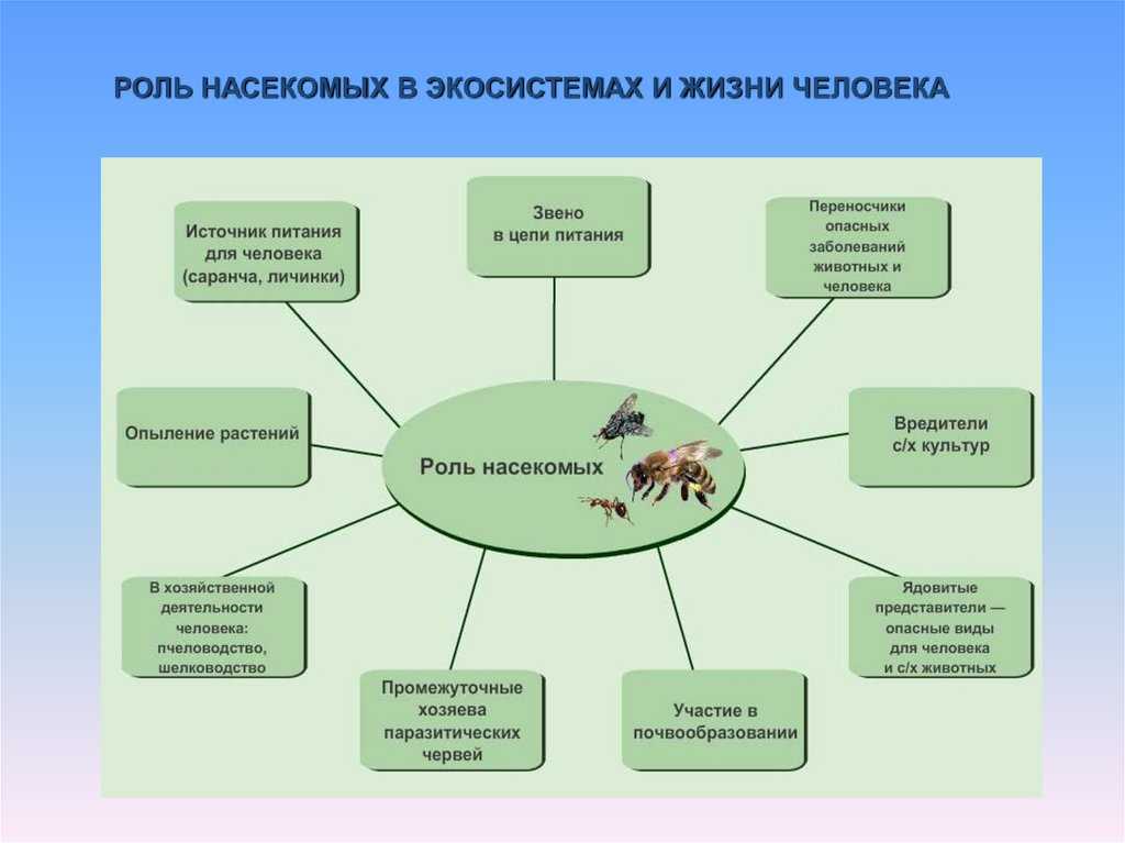Охрана биологического разнообразия | статья в журнале «молодой ученый»