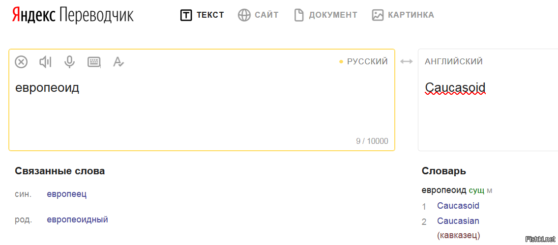 Домашний вайб: что это значит и как создать уют в своем доме