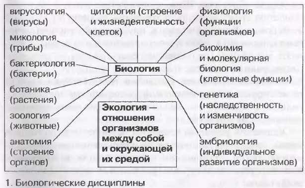 Естественные науки: их классификация и предмет исследования