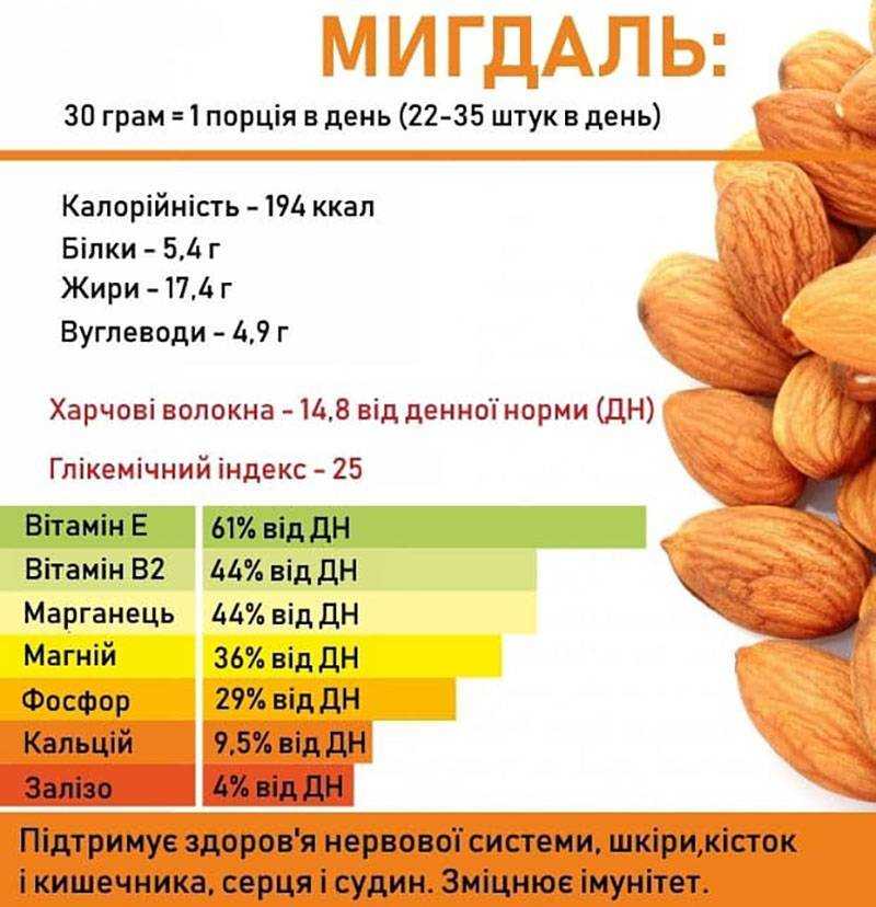 Фундук: полезные свойства и калорийность | food and health