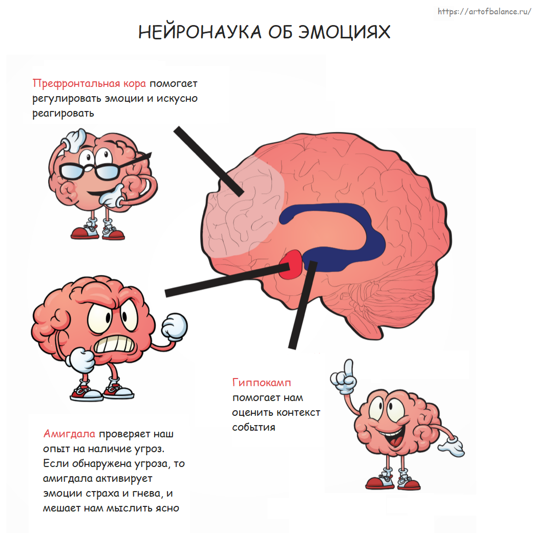 Microbiology note – online biology notes