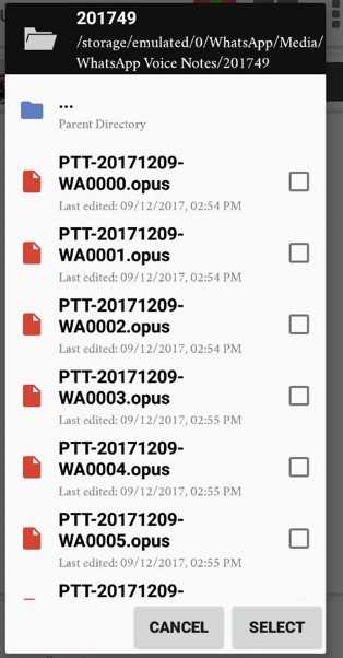 Whatsapp – все о голосовых сообщениях