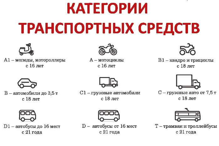 Категории транспортных средств в техническом регламенте • autotraveler.ru