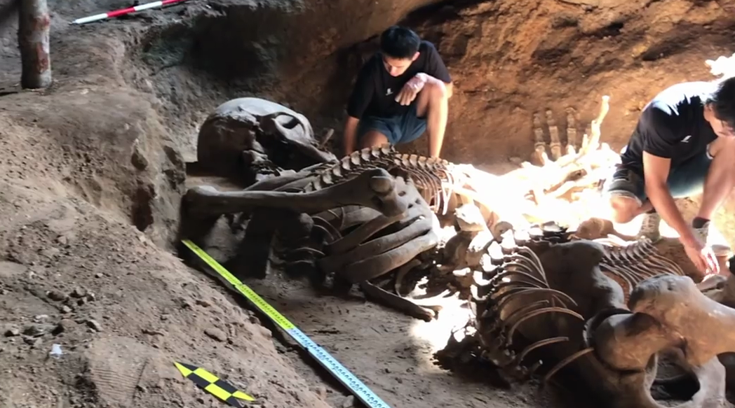Самые высокие люди на земле за всю историю + видео