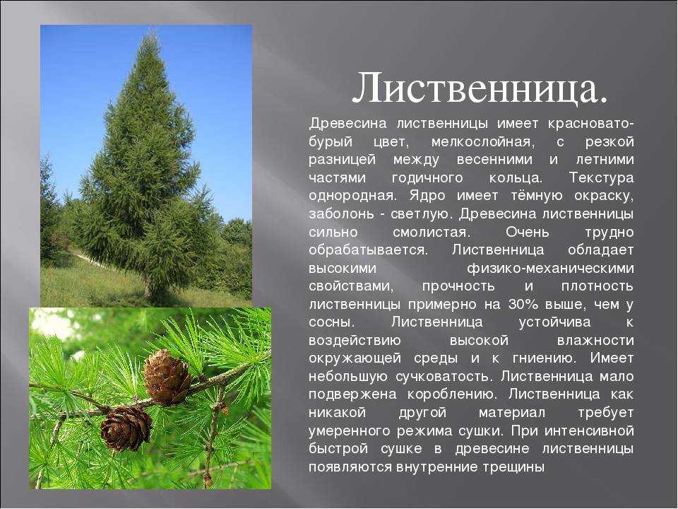 Люди с каким характером и судьбой рождаются в разные дни недели?