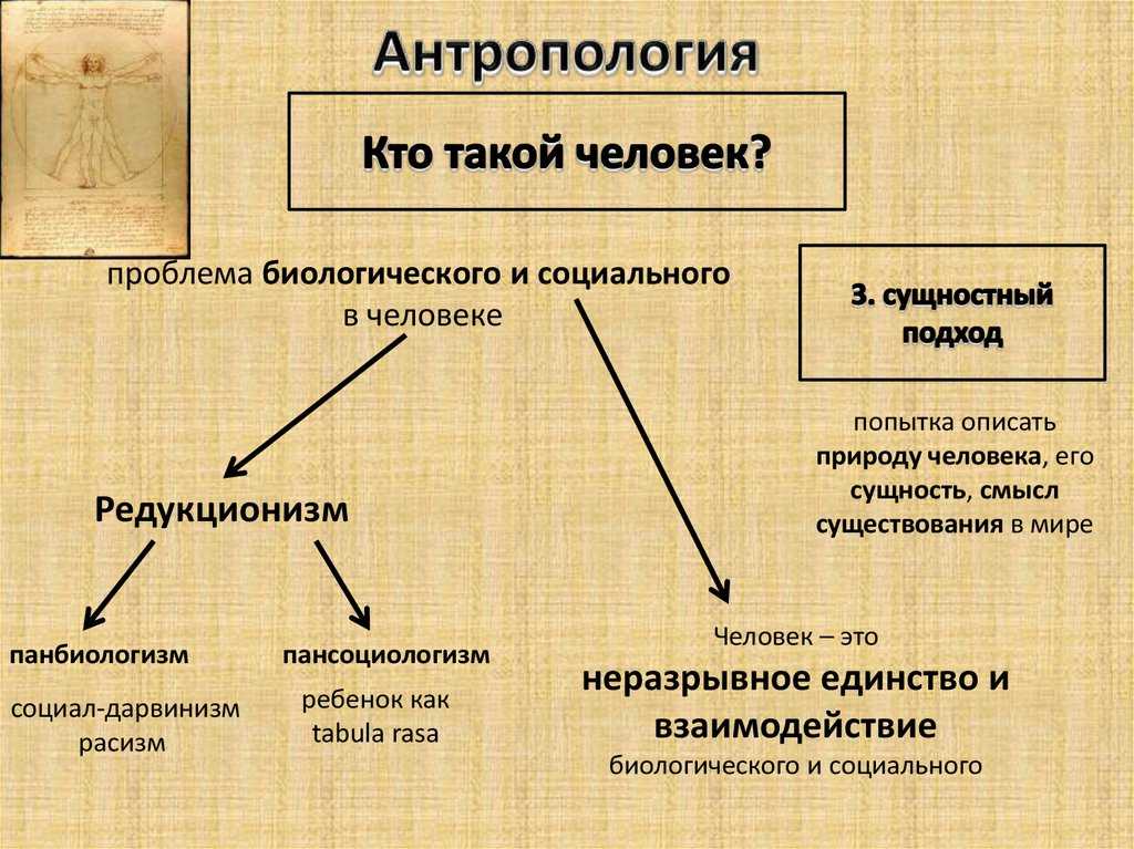 Загривок это термин который используется в различных областях таких как геология биология география и антропология Это слово имеет несколько разных
