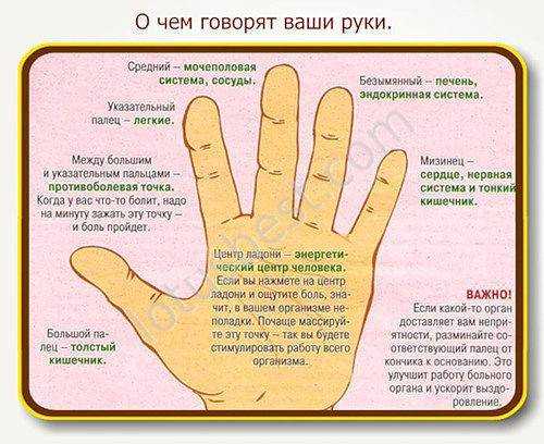 К чему чешется спина: приметы, поверья, расшифровка