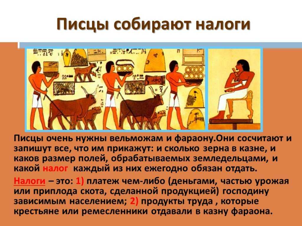 Что такое писец история 5 класс кратко